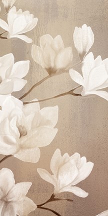 Framed Magnolia Panel 1 Print