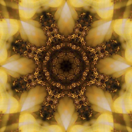 Framed Colorful Kaleidoscope 4 Print