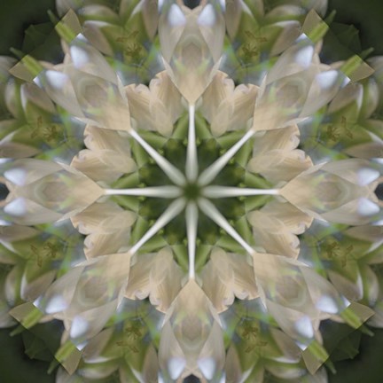 Framed Colorful Kaleidoscope 5 Print