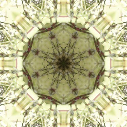 Framed Colorful Kaleidoscope 13 Print