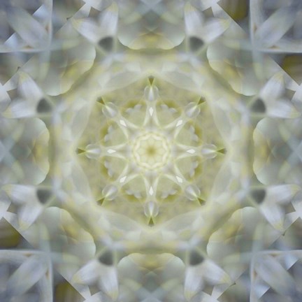 Framed Colorful Kaleidoscope 15 Print