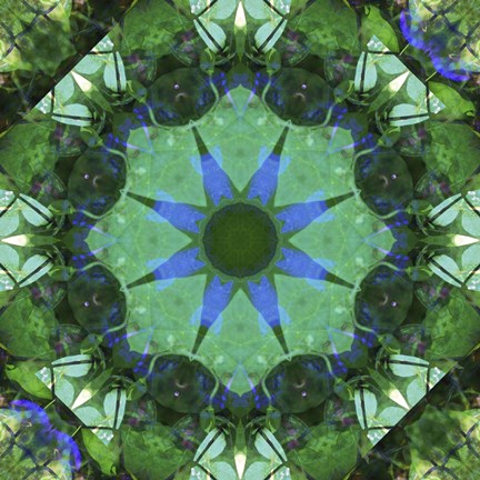 Framed Colorful Kaleidoscope 17 Print