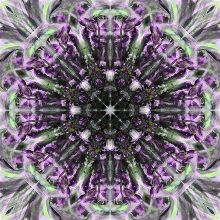 Framed Colorful Kaleidoscope 19 Print