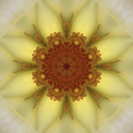 Framed Colorful Kaleidoscope 21 Print