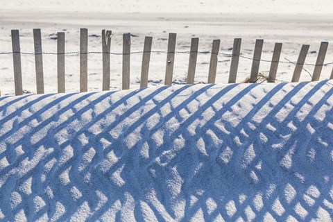 Framed Sand Fence and Shadows Print