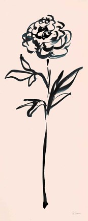 Framed Floral Line II on Pink Print