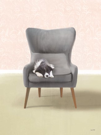 Framed Nap Time Collie Pup Print