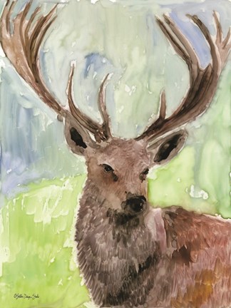 Framed Pacific Coast Wildlife 6 Print