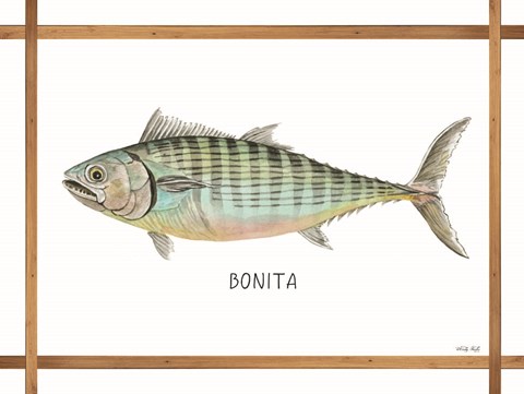 Framed Bonita on White Print