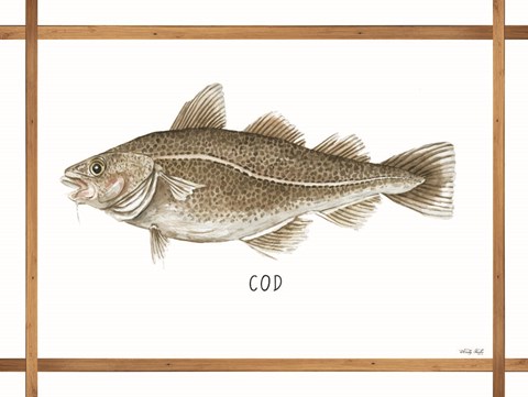 Framed Cod on White Print