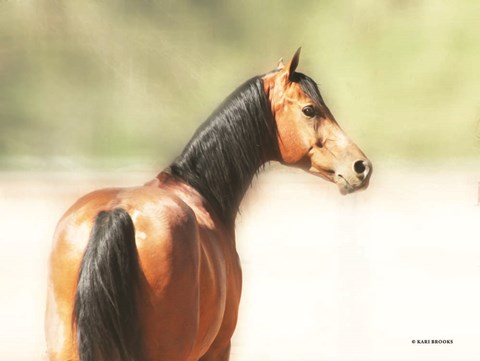 Framed Just Berry Print