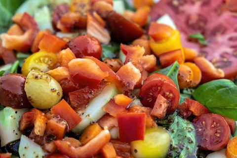 Framed Fresh Garden Salad Print