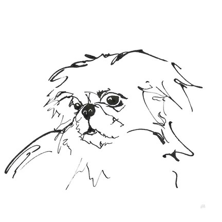 Framed Line Dog Pekingese Print