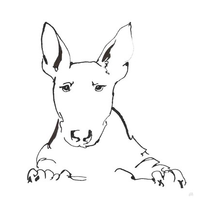 Framed Line Dog Bull Terrier Print