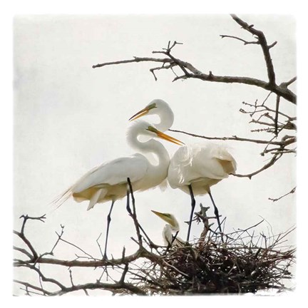 Framed Devotion Print