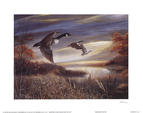 Framed Migration South Print