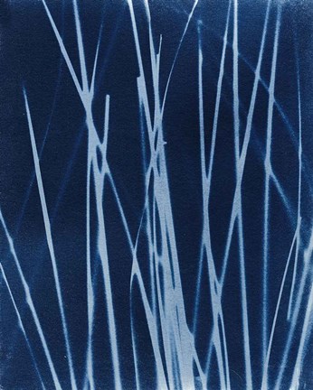 Framed Enchanted Cyanotype X Print