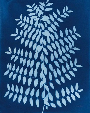 Framed Enchanted Cyanotype VIII Print