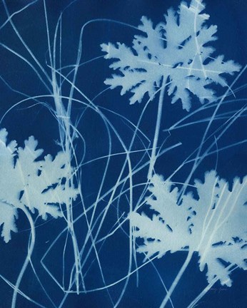 Framed Enchanted Cyanotype IV Print