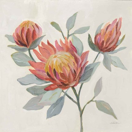 Framed Field Bloom II Print