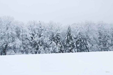 Framed Snowshoe Hill Print