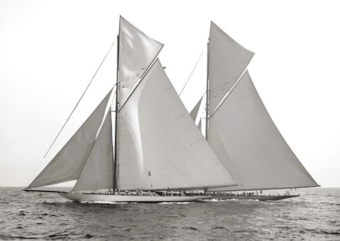 Framed Columbia &amp; Shamrock, 1901 Print