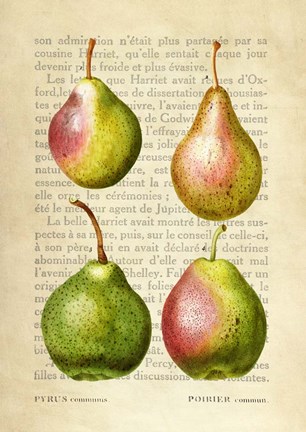 Framed Pears, After Redoute Print