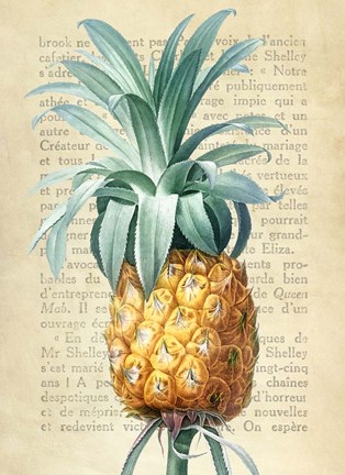 Framed Pineapple, After Redoute Print