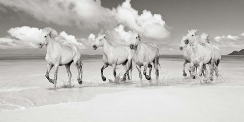 Framed Band of Brothers, Lanikai Beach, Hawaii (BW) Print