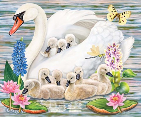 Framed Mother Swan Print