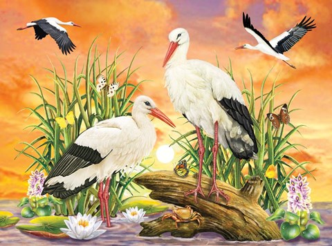 Framed Storks Print