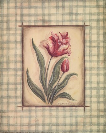 Framed Gingham Tulip Print
