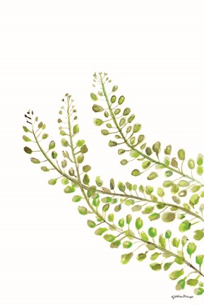 Framed Green Bliss Print