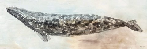 Framed Whale Color I Print