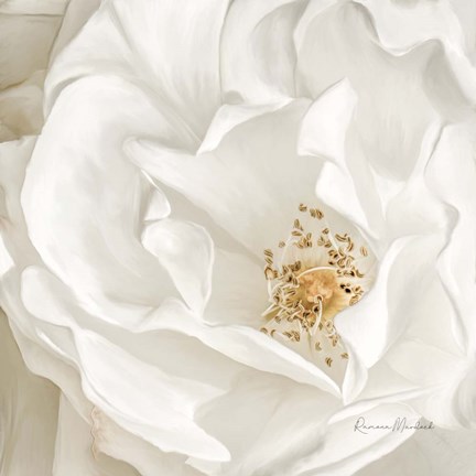 Framed Neutral Rose No. 3 Print