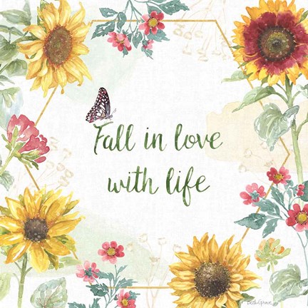 Framed Sunflower Splendor II Print