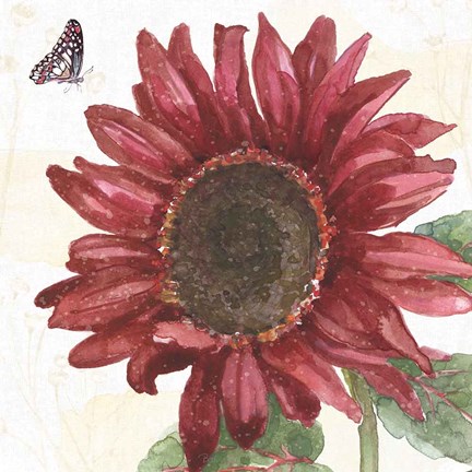 Framed Sunflower Splendor X Print