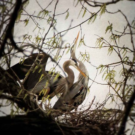 Framed Connection Print