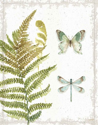 Framed My Greenhouse Botanical III No Words Print