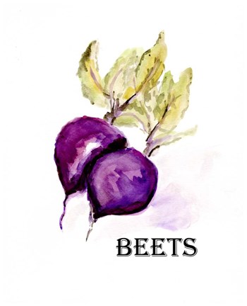 Framed Veggie Sketch III-Beets Print