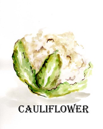 Framed Veggie Sketch VI-Cauliflower Print