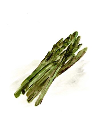 Framed Veggie Sketch plain I-Asparagus Print