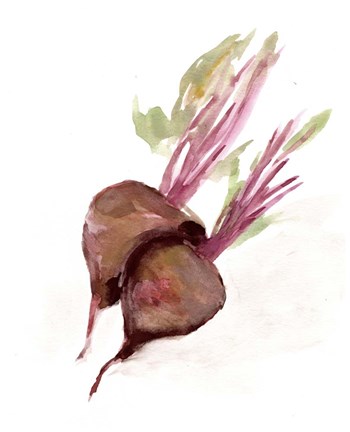 Framed Veggie Sketch plain IV-Brown Beets Print