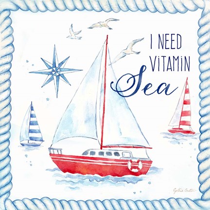 Framed Nautical Sea Life IV-Sailboat Print