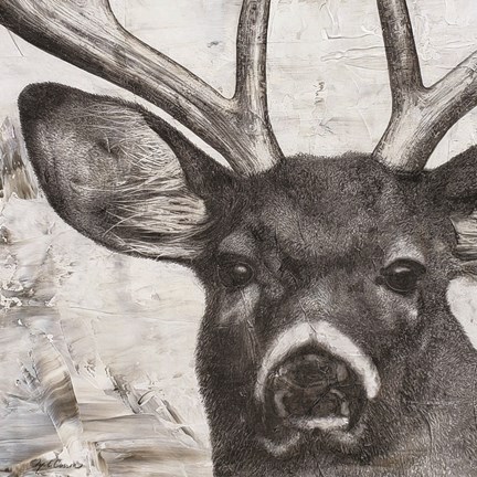 Framed Deer Portrait Print