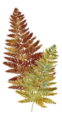 Framed Fall Inspiration panel II Print