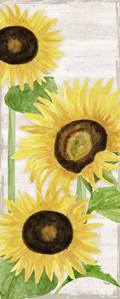 Framed Fall Sunflowers panel I Print