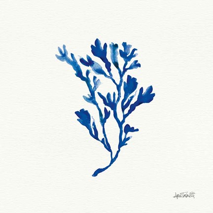 Framed Deep Sea Botanical II Print