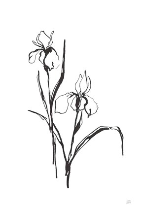 Framed Line Iris III Print