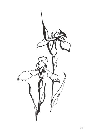 Framed Line Iris II Print